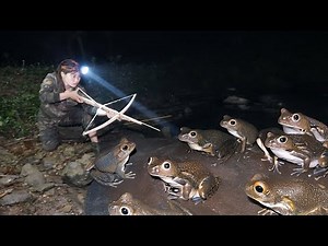 crossbow frog hunting skills at night, survival in nature, survival alone