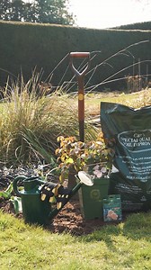 12K views · 650 reactions | Unsure of how to plant your potted shrub rose? Following these simple steps will ensure it gets off to the best possible start, ready to flourish in your garden this summer. | David Austin Roses | Facebook