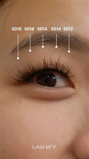 30K views · 48 reactions | Starting the week off with Stardust! What lash map are you wearing today? Lash map: SD.12, 14, 14, 16, 16 ⭐️ | Lashify | Facebook