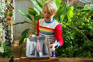 How to fillet a fish | Kitchen Buddies | Jamie Oliver