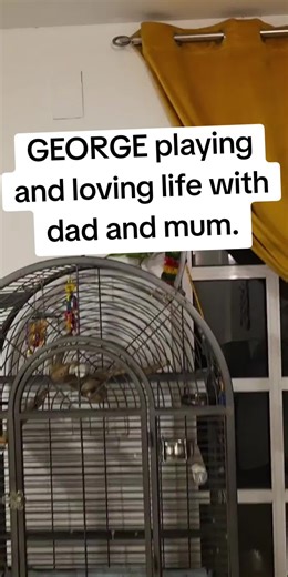 George Enjoying Life with Parents in Benidorm