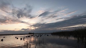 19K views · 859 reactions | A freelance waterfowl hunting trip is something every hunter should do. It takes work, determination, and some luck for the hunting to all come together but, the reward is second to none. Last waterfowl season, we battled some not so ideal conditions in the prairie pothole region to string together some good hunts on a freelance waterfowl hunting trip. BERETTA | HEVI Shot | Cupped Waterfowl | Gator Waders - Hunt | Hunt Factory Inc | Facebook
