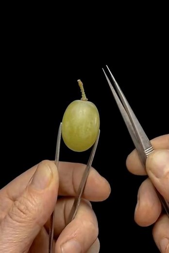 Removing a Grape Stem Up Close - So Satisfying🍇