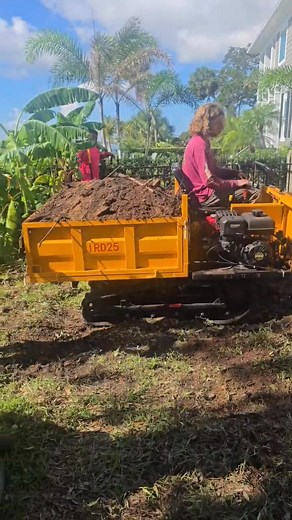 JD's Tree Service on Reels