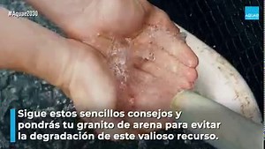 10K views · 202 reactions | ¿Sabías que 1 litro de aceite puede contaminar 1.000 litros de agua? ¿o qué algunas pastas de dientes llevan micropartículas de plástico? Si quieres ayudar a proteger el planeta empieza evitando acciones cotidianas como estas: ❌Verter aceite por el desagüe ❌Utilizar pasta de dientes con micropartículas de plástico ❌Tirar colillas al suelo ¡Solo tenemos una Tierra. Cuídala! | Fundación Aquae | Facebook