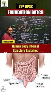 Human Body Internel Structure Explained by Lavkush Sir | EDU TERIA