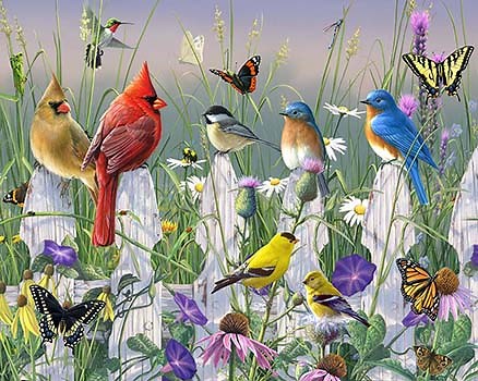 Paint By Numbers Kits Of Animals