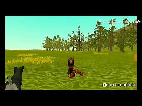 Free Wildcraft 200 lvl account..!!