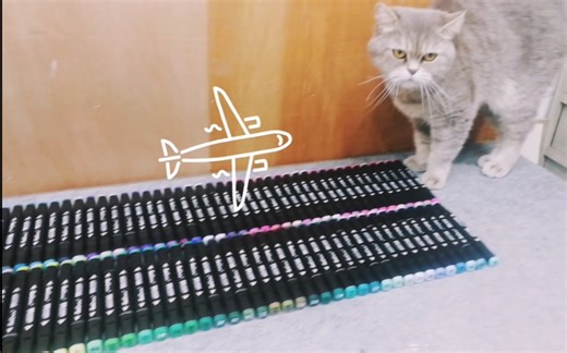 【TOUCH马克笔色卡】强迫症福利（测评向）