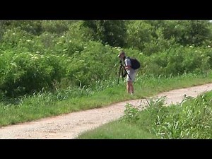 Lake Apopka North Shore Recreational Opportunities