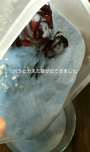 お客さんからお預かりしたシリカゲル仕上げのドライフラワーの取り出し動画です。シリカゲル仕上げは取り出してからの保存が難しいのですがこの時点では綺麗に仕上がってます