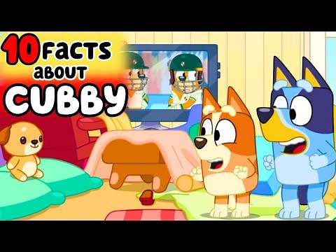 10 Facts about CUBBY from Bluey Season 3c.......(Behind Bluey Podcast episode 38 recap)