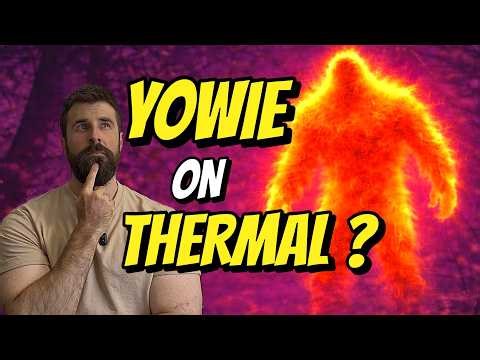 Yowie Thermal Footage Analysis
