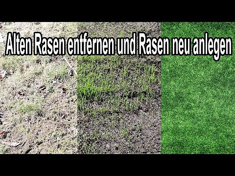 Alten Rasen einfach entfernen & Rasen neu anlegen - So gelingt's!