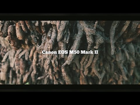 Canon M50 Mark ii Cinematic Video Test