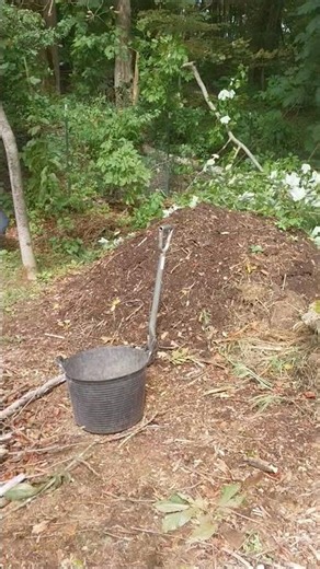Groundhog lesson(s). #homestead #nature #homeschooling