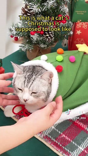 Save Your Tree with a Festive Christmas Cape