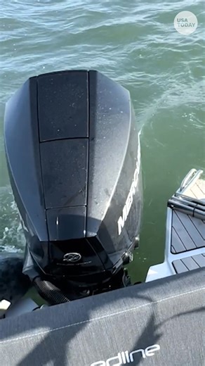 22K views · 282 reactions | Watch the tense moment a seal leaps onto a photographer’s boat to escape killer whales hunting it. | Cape Cod Times | Facebook