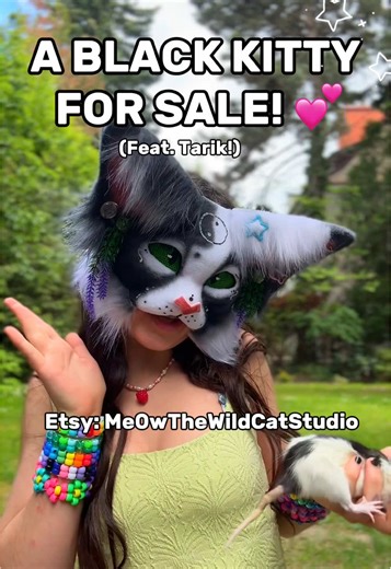 Cat Mask Review: Rate It from 1-10!