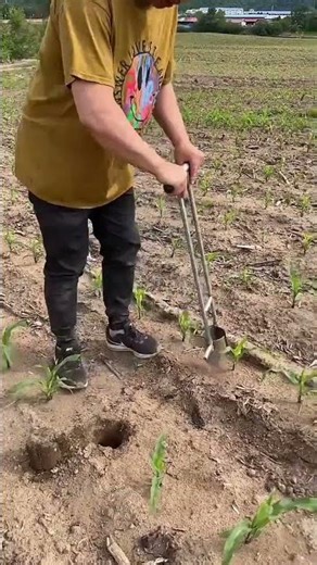 I appreciate the official push notification for my work to be featured.#agriculture #farming #shorts