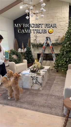 ‼️ BEFORE you request the link you must be following me or you will not be able to see the message due to IG privacy settings. 💫 Comment SHOP and I’ll send the links for this video to your DM or you can tap the link in bio to shop all my posts This deodorizer has helped so much! Now my house smells them and fresh. I was a bit apprehensive to use it at first because I thought it was filled with fragrances, but when I looked it has all natural ingredients and safe for my pets and family. This vac