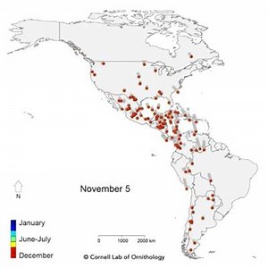 3.6M views · 9.9K reactions | This animation from Cornell Lab of...