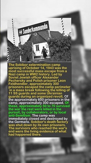 The Sobibor Uprising: 800 Prisoners Fought For Freedom In One Day