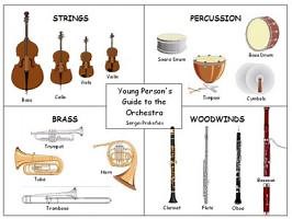 Instrument family