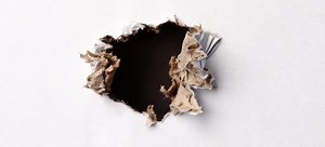 Hidden Signs You Have a Pest Problem in Your House | DoItYourself.com