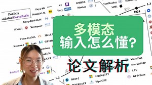 多模态 LLM 如何理解输入？编码器设计大拆解