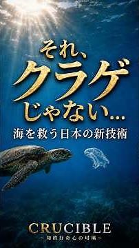 世界が注目する日本の新技術…海のプラスチック危機は終わる #環保 #技術
