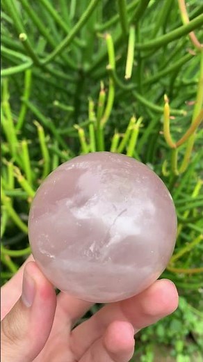 Polished Gemmy Star Rose Quartz Sphere x 1 From Ambatondrazaka, Madagascar
