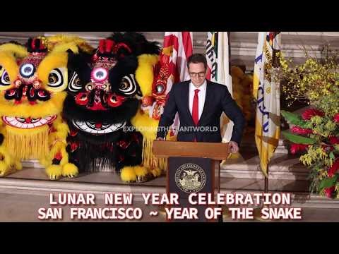 San Francisco Lunar New Year Celebration 2025 @ City Hall - Year of the Snake || Full Highlights 4K