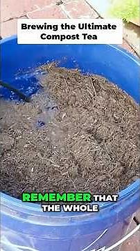 How to Make Compost Tea: The Ultimate Organic Fertilizer! 💩🌿