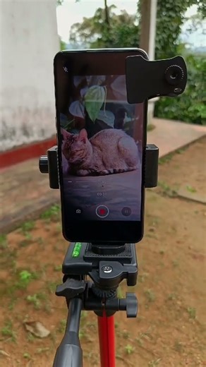 mobile phone zoom lens #mobilephotography #shortvideo #shorts