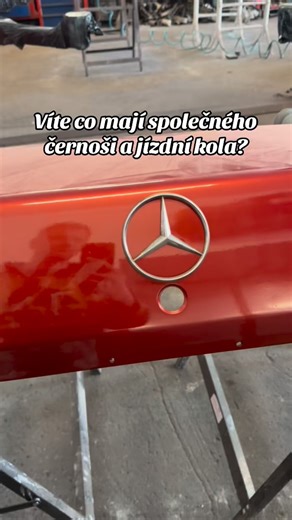 Pan Panda on Instagram