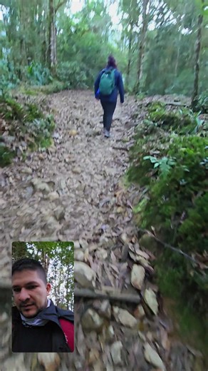 Videos de CodePlayer (@codeplayer87) con “sonido original - CodePlayer”