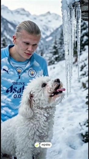 Haaland Saved the little Dog 🐶 😊 #haaland #parody #football