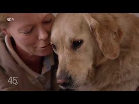 Haustier Hund: Wahnsinn oder Liebe? (45 Min - NDR-Reportage)