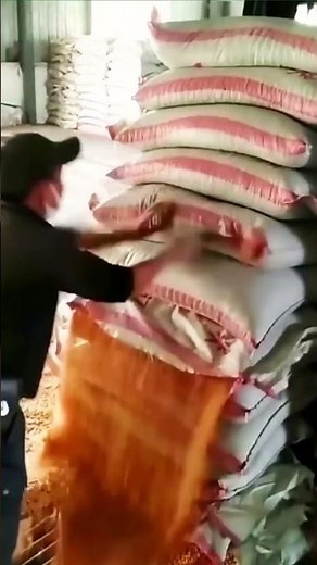 Cutting open process of sacks filled with grain for unloading