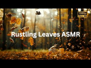Rustling Leaves ASMR | Rustling Leaves Sound Effect | Relaxing Rustling Leaves in a Forest