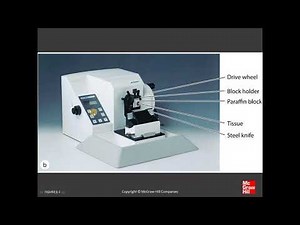 1 Histology & its Methods of Study