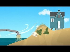 Two Ways To Make A Dune | SKUNK BEAR