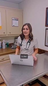 #AD🐕📘Dr. Molly Brinkman shares the Purina Institute Handbook of Canine and Feline Clinical Nutrition, a free Ebook packed with expert guidance on managing common conditions. Sign up to get yours now ⬇️ http://spr.ly/6184NkbgI | Purina Institute