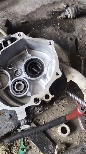 Gear Box Bearing Change | Noise Problem Solved #automobile #bering #gearbox #scooty