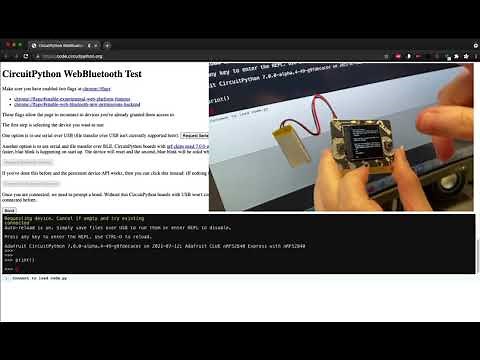 CircuitPython WebBluetooth Test