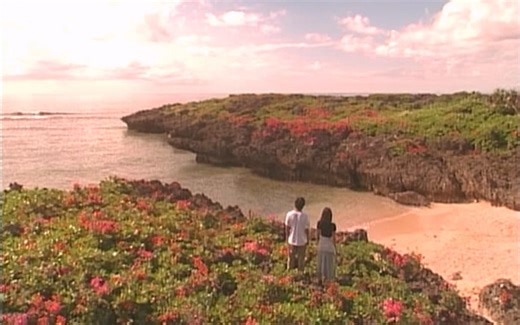 【剪辑】恋人よ(1995)