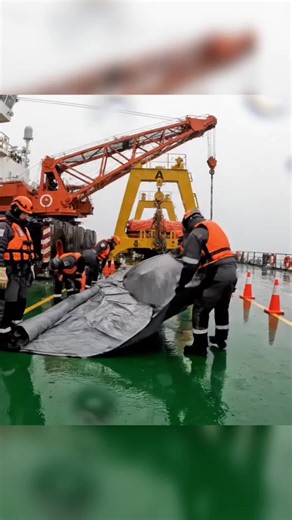 iPhone Recovery from the Ocean Floor: A Deep-Sea Adventure