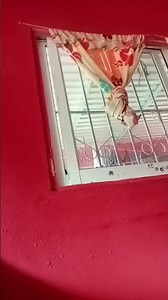 15 de noviembre de 2025