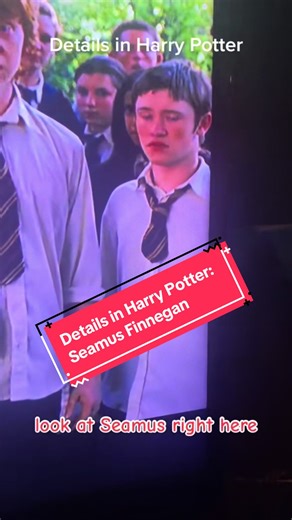 Seamus Finnigan's Pyrotechnic Antics in Harry Potter